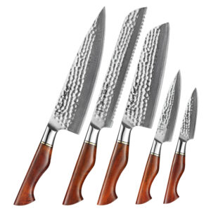 High Quality 5PCS 73  Layers Damascus Powder Steel Kitchen Chef Knife Set Rosewood Sharp Knives