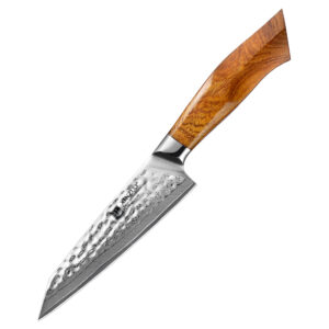Kitchen Utility Knife SRS13 Damascus Powder Steel Original Japan 49 Layers Carbon Steel with Desert Ironwood Handle Wooden Box