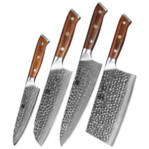4Pcs Professional Hammer Damascus Steel Chef Knife Set with Desert Iron Wood Handle