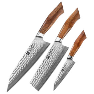 Sharp Luxury Chef Knife Set Japanese Original 49 Layers SRS 13/ SG2 Powder Steel Kitchen Knives Desert Ironwood Handle