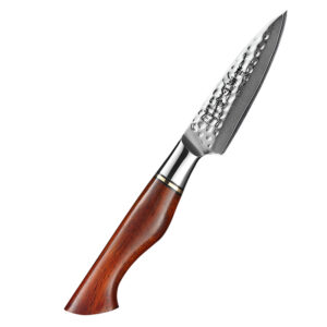 3.5in Professional Damascus Steel 14Cr Core Powder Kitchen Paring Knife