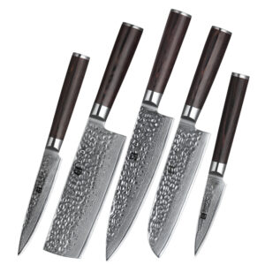 5 Pcs Professional 67 Layers Damascus Kitchen Knife Set with Pakka Wood Handle