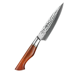 Professional 14Cr Core Powder Damascus Steel Kitchen Utility Knife