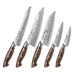 XINZUO 5PCS Knife Set Custom Damascus Steel Durable Micarta Handle Professional Kitchen Knives Gift