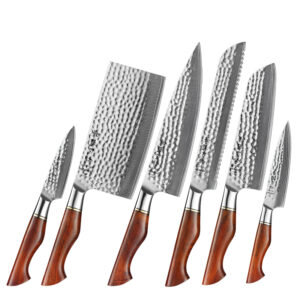 Powder Steel Kitchen Knives 6PCS 73  Layers Damascus Powder Steel Kitchen Knife Set