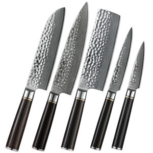 Professional 5 Pcs Chef Knife Set Japanese Style Damascus Steel Kitchen Knife