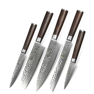 XINZUO Professional Kitchen 5 Pcs Chef Knife Set Damascus Steel Pakka Wood Japanese Style Knives