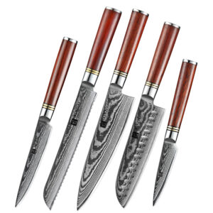 5 Pcs High Quality Japanese Damascus Steel Knife Set Chef Knives with Rosewood Handle