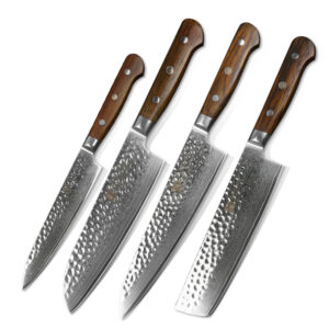 4PC Professional Japanese Damascus Kitchen Knife Set