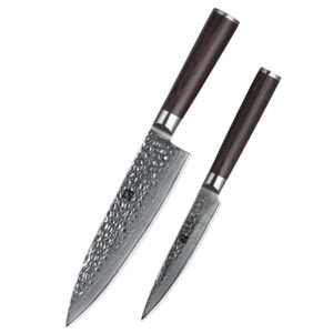 2 Pcs Kitchen Knives Professional Craftsman Pakka Wood Japanese High Carbon Damascus Steel Chef Knife Sets Two-piece