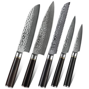 Professional Japanese 67 Layers Damascus Steel Ebony Wood Handle 5 Pcs Kitchen Chef Knife Set