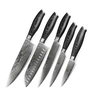 Knife Set Professional Japanese Damascus Steel 5 Pcs B20 5PCS Knife Set Carbon Steel Pakka Color Wood Handle Craftsman 60-62HRC