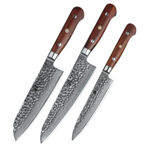 Professional Ultra Sharp Kitchen Chef Knife Set Damascus Steel Natural Rosewood Handle