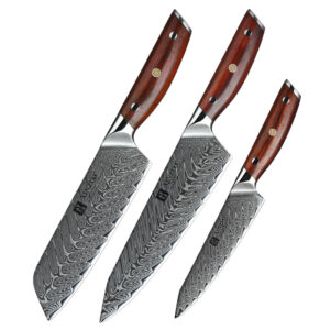 CLASSIC 3 PCS Professional Japanese 67 Layers Damascus Steel Kitchen Chef Knife Set