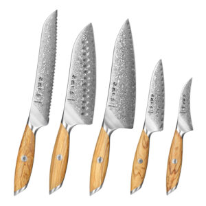 XINZUO 5PCS Knife Set Custom 73 Layers Damascus Powder Steel Olive Wood Handle Kitchen Chef Knives