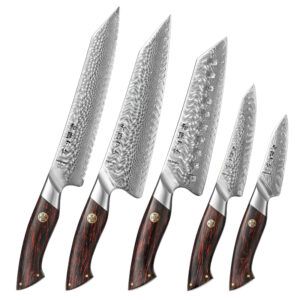 XINZUO 5Pcs Professional Japanese Kitchen Chef Knife Sets Streamlined Design Damascus Powder Steel G10 Handle