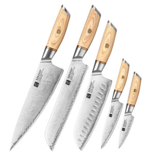 5 Pcs 2022 New Design Composite Stainless Steel Kitchen Chef Knife Set Five Piece with Pakka Wood Handle