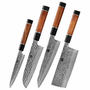 XINZUO 4pcs 67 Layers Japanese Damascus Steel Chef Kitchen Knife Set with Desert Iron Wood Handle
