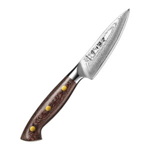 XINZUO New Paring Knife Damascus Steel Micarta Handle High Quality Kitchen Fruit Peeling Knives