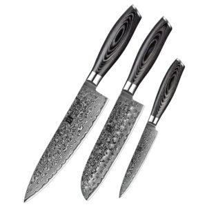 XINZUO Professional 3 Pcs Japanese Style Pakka Wood Damascus 10Cr Steel Sharp Kitchen Chef Knife Set