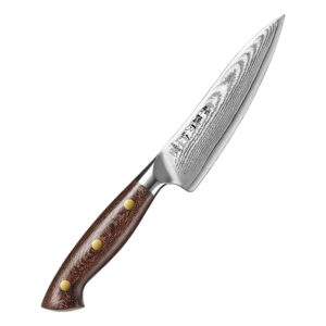 XINZUO New Custom Utility Knives Damascus Steel Micarta Handle High Quality Kitchen Multifunctional Petty Knives