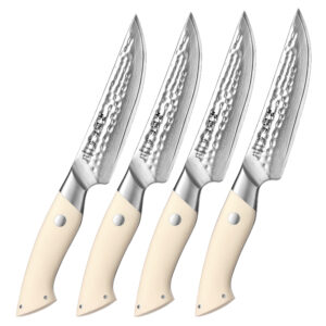 XINZUO Premium Kitchen 4 Pcs Steak Knife Set 67 Layers Damascus Steel Streamlined Design White G10 Handle