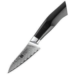 Kitchen Fruit Paring Knife Damascus Steel 3.5 Inch Daily Kitchen Knives High Carbon Steel G10 Wood Handle