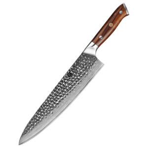 Professional 10inch Damascus Steel Kitchen Chef Knife with Desert Iron Wood Handle
