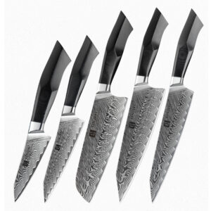 Professional Kitchen Damascus Steel 5 Pcs Chef Knife Set with G10  Handle Knife Japan